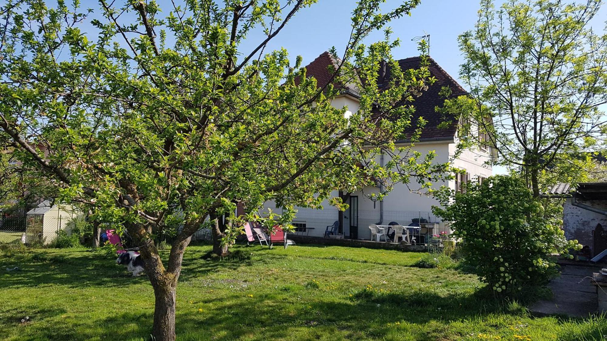 Maison Les 3 Roses Wolfisheim Esterno foto
