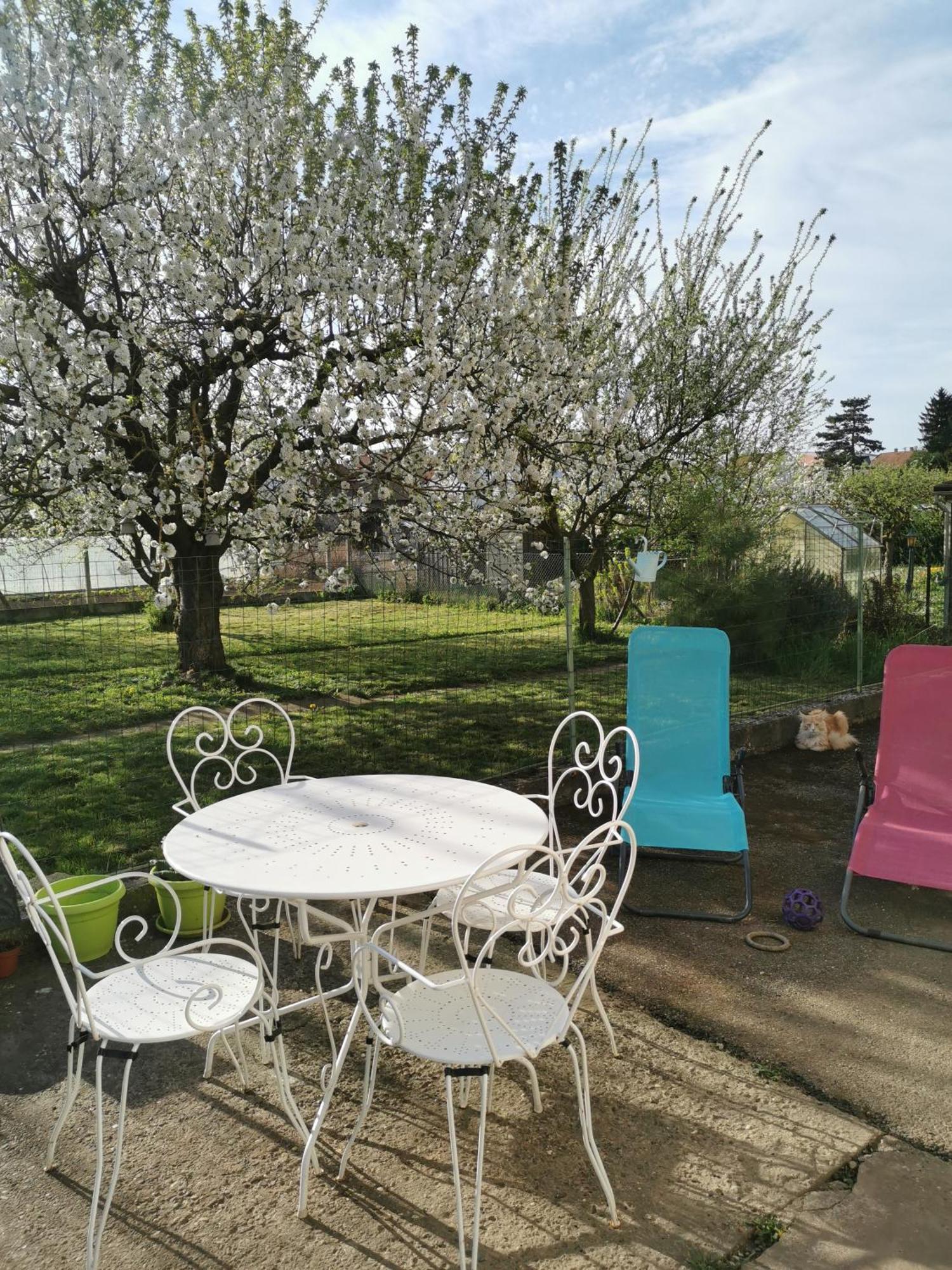 Maison Les 3 Roses Wolfisheim Esterno foto